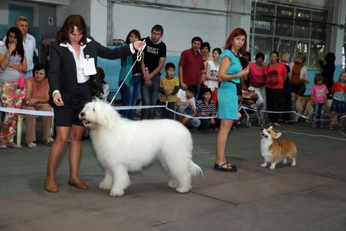 post-65357-1381303537 thumb - 