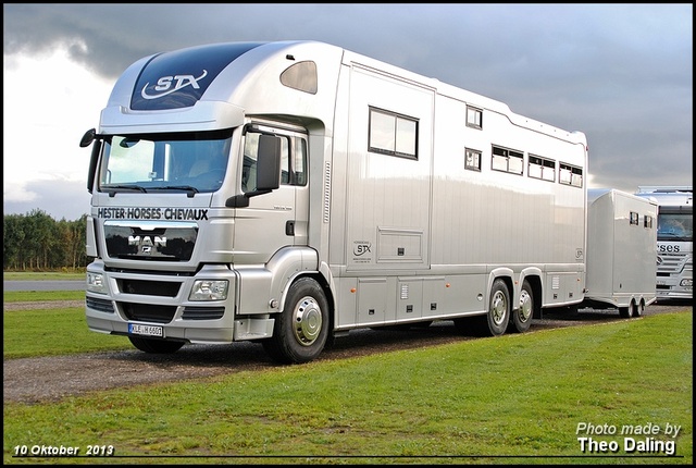 Hester-Horses - Chevaux (D) KLE H66601 -2 Paarde transport