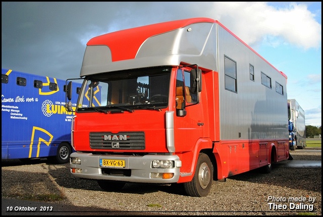MAN  BX-VG-63 Paarde transport