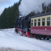 T03349 997245 Benneckenstein - 20130303 Harz