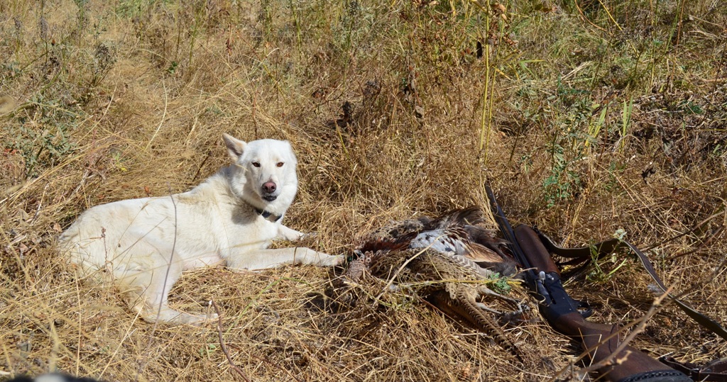 2013-10-17 13.31.41-1 - 