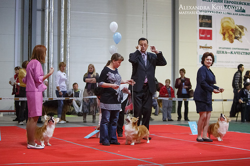 0 837b5 23261e69 L - 