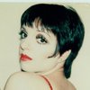 liza-minnelli-warhol White ... - Andy-Warhol ( Gold Thinker)...