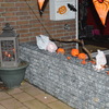 Halloween 2013 (3) - Halloween 2013 v. Borsselen...