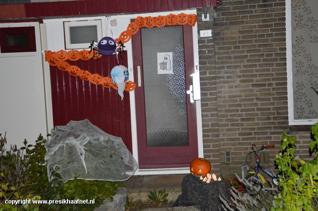 Halloween 2013 (19) Halloween 2013 v. Borsselenstr e.o.