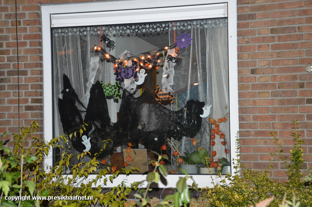 Halloween 2013 (30) Halloween 2013 v. Borsselenstr e.o.