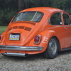 DSC-0791 - Beetle