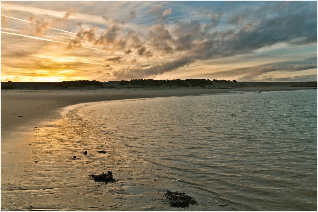 DSC 6398 Neeltje Jans  Langs de vloedlijn-2 - 