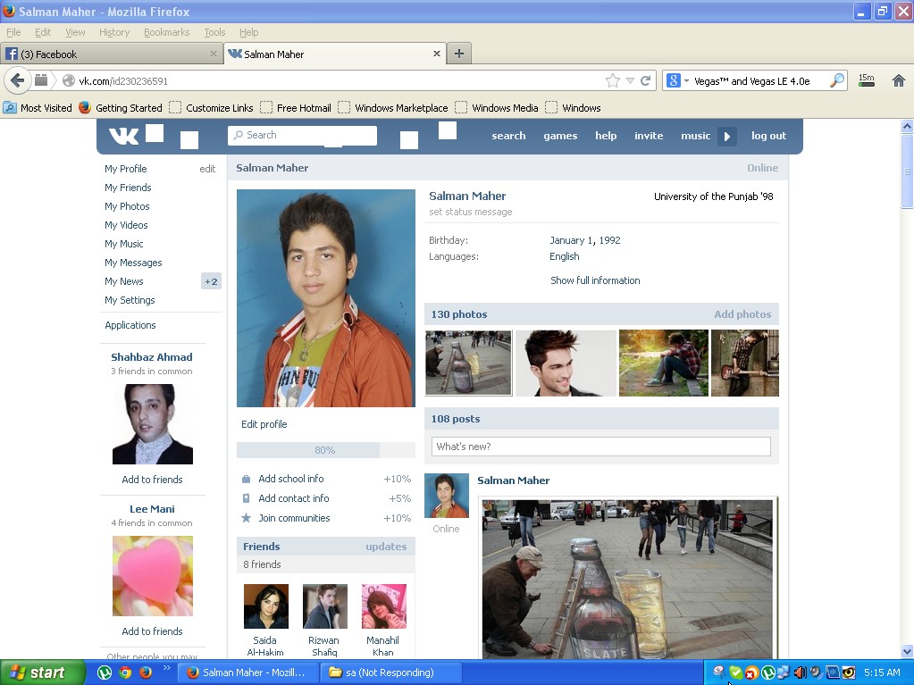 Screenshot Picture Box