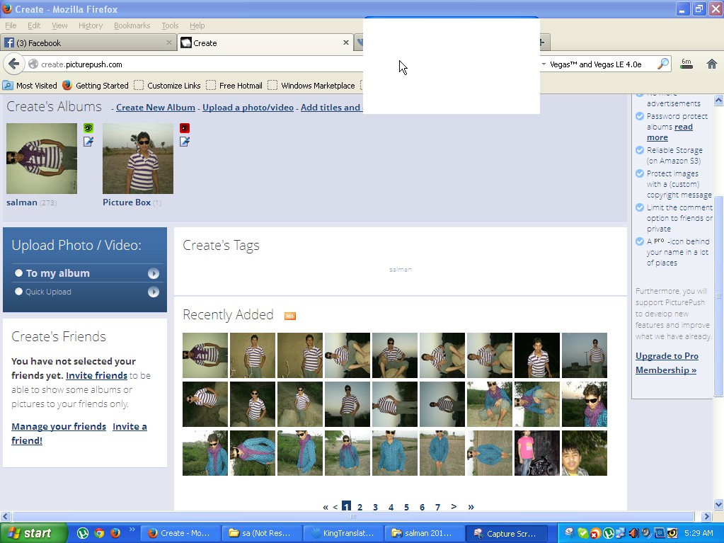 Screenshot005 Picture Box