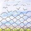 Freedom  Ø¢Ø²Ø§Ø¯ÛŒ