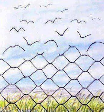 Freedom  Ø¢Ø²Ø§Ø¯ÛŒ Freedom  Ø¢Ø²Ø§Ø¯ÛŒ