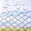 Freedom  Ø¢Ø²Ø§Ø¯ÛŒ - Freedom  Ø¢Ø²Ø§Ø¯ÛŒ