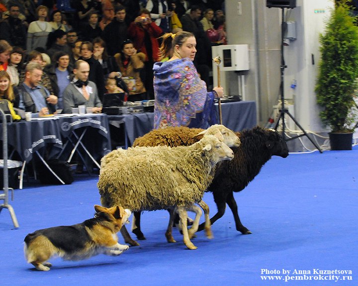 207163 1670136158682 4795645 n - 