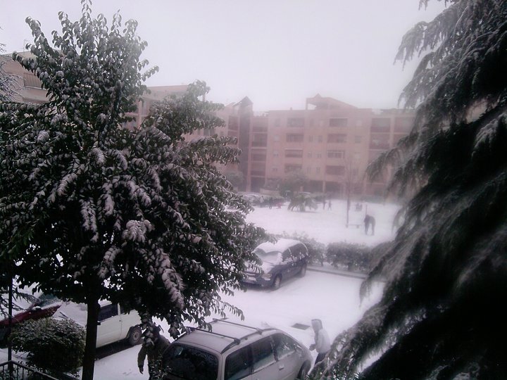 163696 1489200322061 3324184 n - 