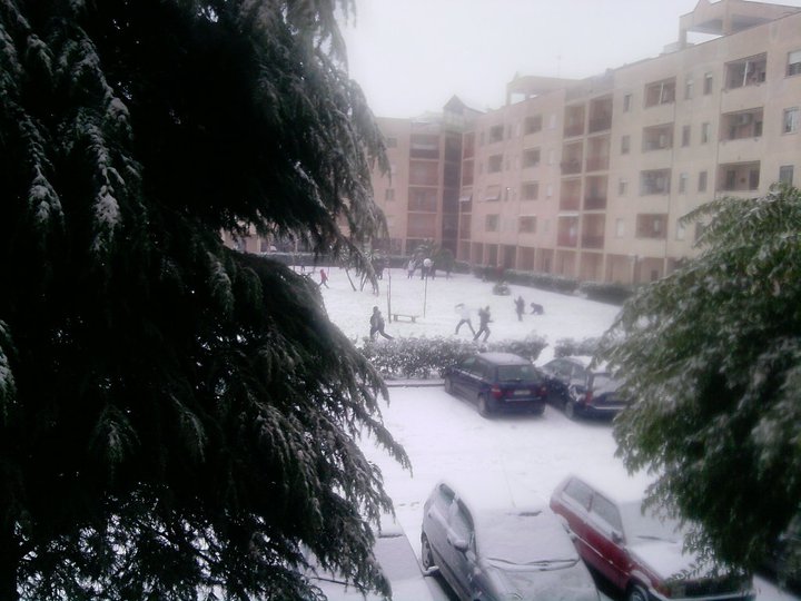 165217 1473003517151 7728171 n - 