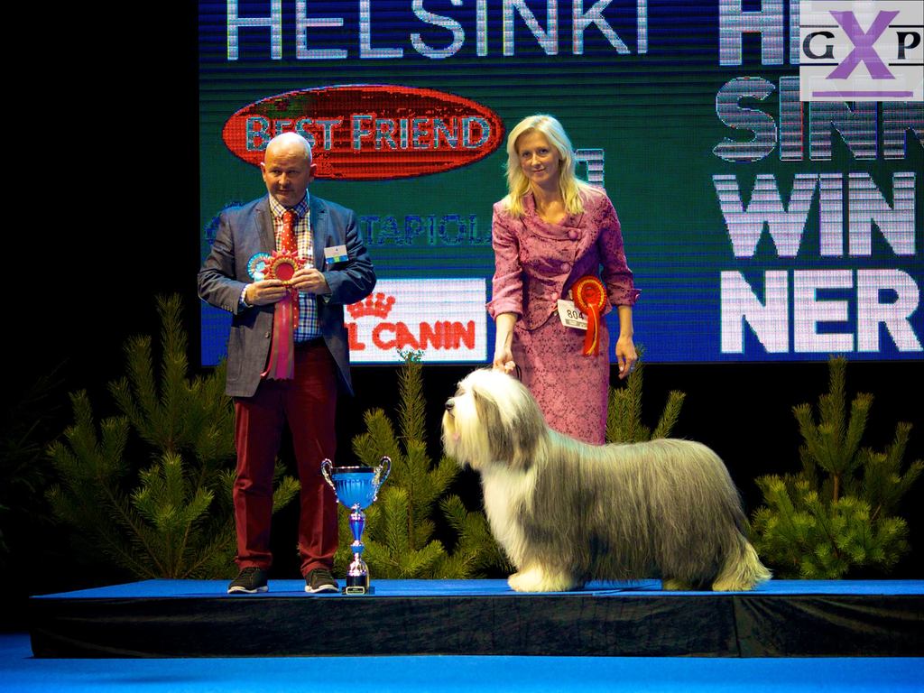 1504292 531647673597224 413543882 o - 