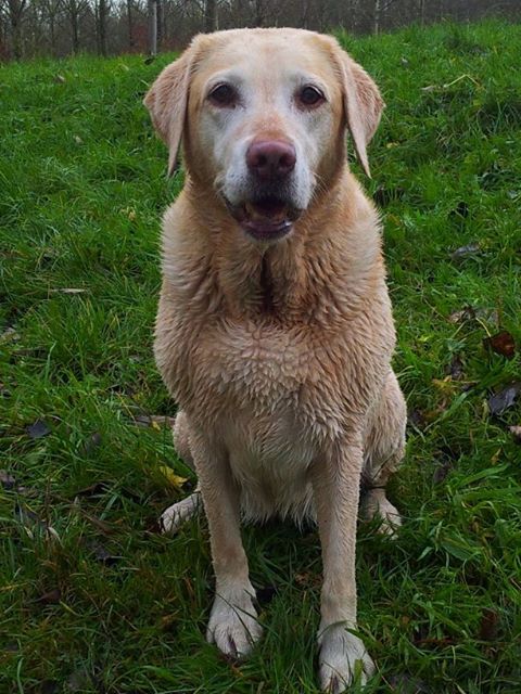 1456899 608649565837772 856573231 n - 