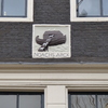 P1040148 - Amsterdam2009