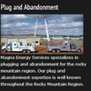 well plugging and abandonment - MagnaesOilGas