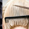 Hair Salon Pasadena - Picture Box