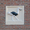 P1350330 - amsterdam