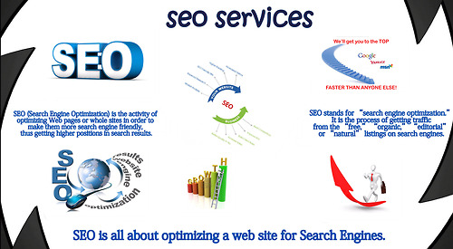 More Information About  Seo Services Picture Box