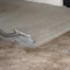 carpet cleaning san antonio - Picture Box