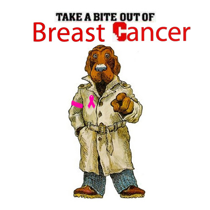 take a bite out of breast cancer random junks