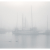 Deep Bay Mist - Vancouver Island