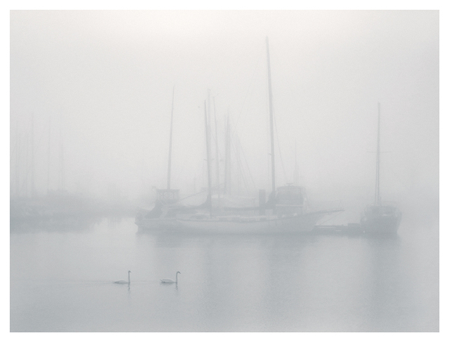 Deep Bay Mist Vancouver Island