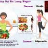 Weight Loss Pills Explained - Picture Box