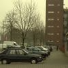 R.Th.B.Vriezen 2014 01 25 9547 - PvdA Arnhem Canvassen op Pr...