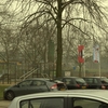 R.Th.B.Vriezen 2014 01 25 9554 - PvdA Arnhem Canvassen op Pr...
