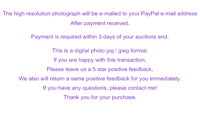 0101 Picture Box