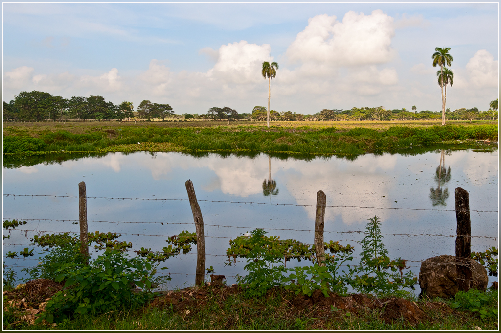 DSC 6852 Dominican mirror - 