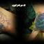 1524899 661891793853717 109... - Tattoo Dövme Piercing Tattoo Voodoo Tattoo.org Voodootattoo.org