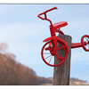 Red Tricycle 03 - Comox Valley