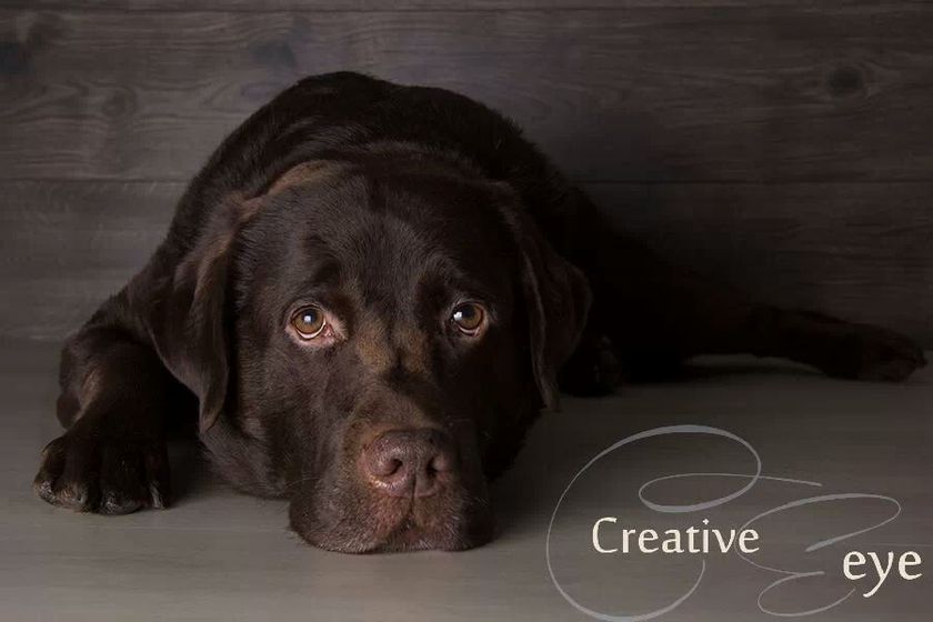 IMG 269914412001545 - foofer