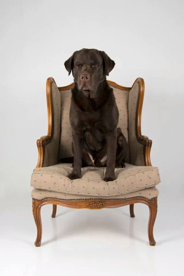 IMG 451634807304867 - foofer