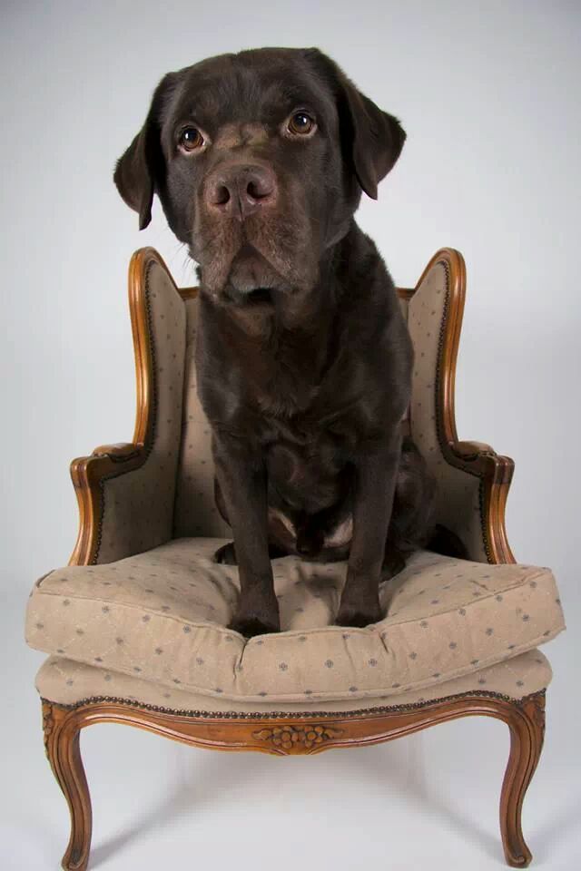 IMG 451638685722835 - foofer