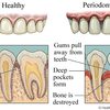 dentist - Oral Health