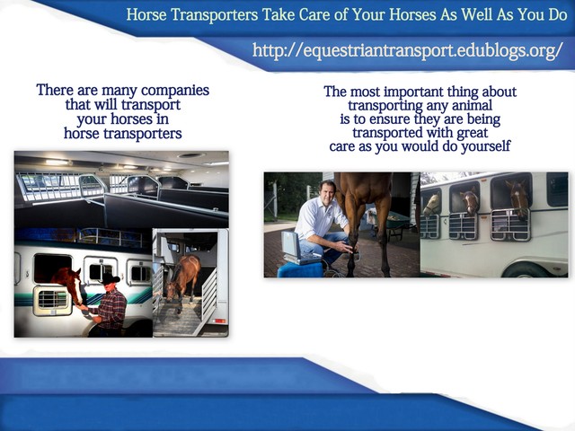 Good Horse Transporters Treat Your Horse As They D Picture Box
