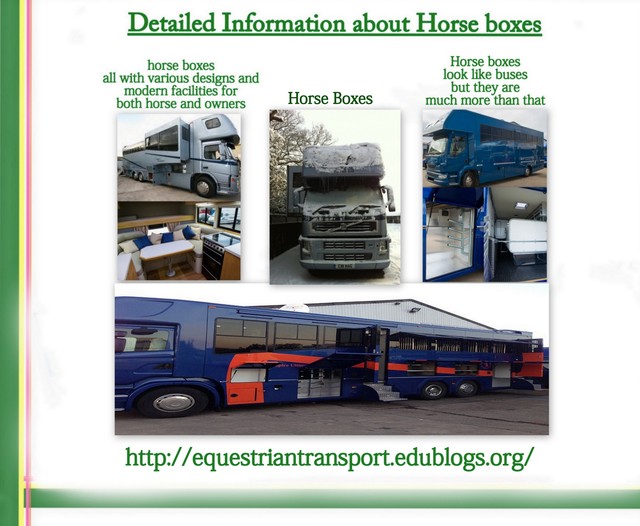 Only the Best Horse Boxes Are Best For Your Specia Picture Box