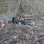 R.Th.B.Vriezen 2014 03 03 0687 - PvdA Arnhem Veiligere Buurten Ahmed Marcouch voor een Veilige Leefomgeving Presikhaaf-1 maandag 3 maart 2014