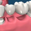 guelph dentist - Harvard Rd Dental Care