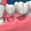 guelph dentist - Harvard Rd Dental Care