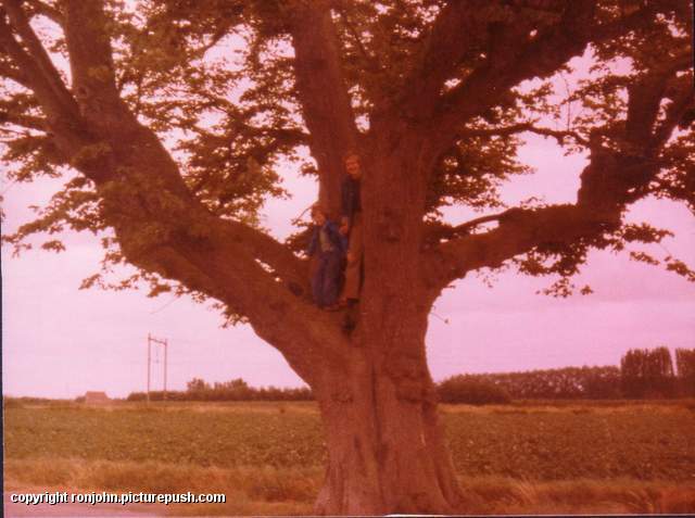 John en Ed in grote boom Jeugdfoto's van John