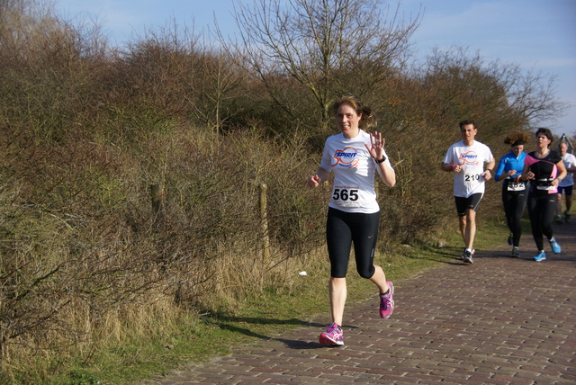 DSC02461 Halve van Oostvoorne 8 maart 2014