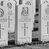 Tyne Cot 6 - In Vlaamse velden